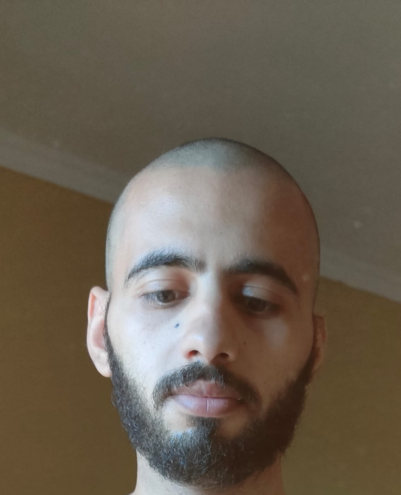 Abdelfattah123