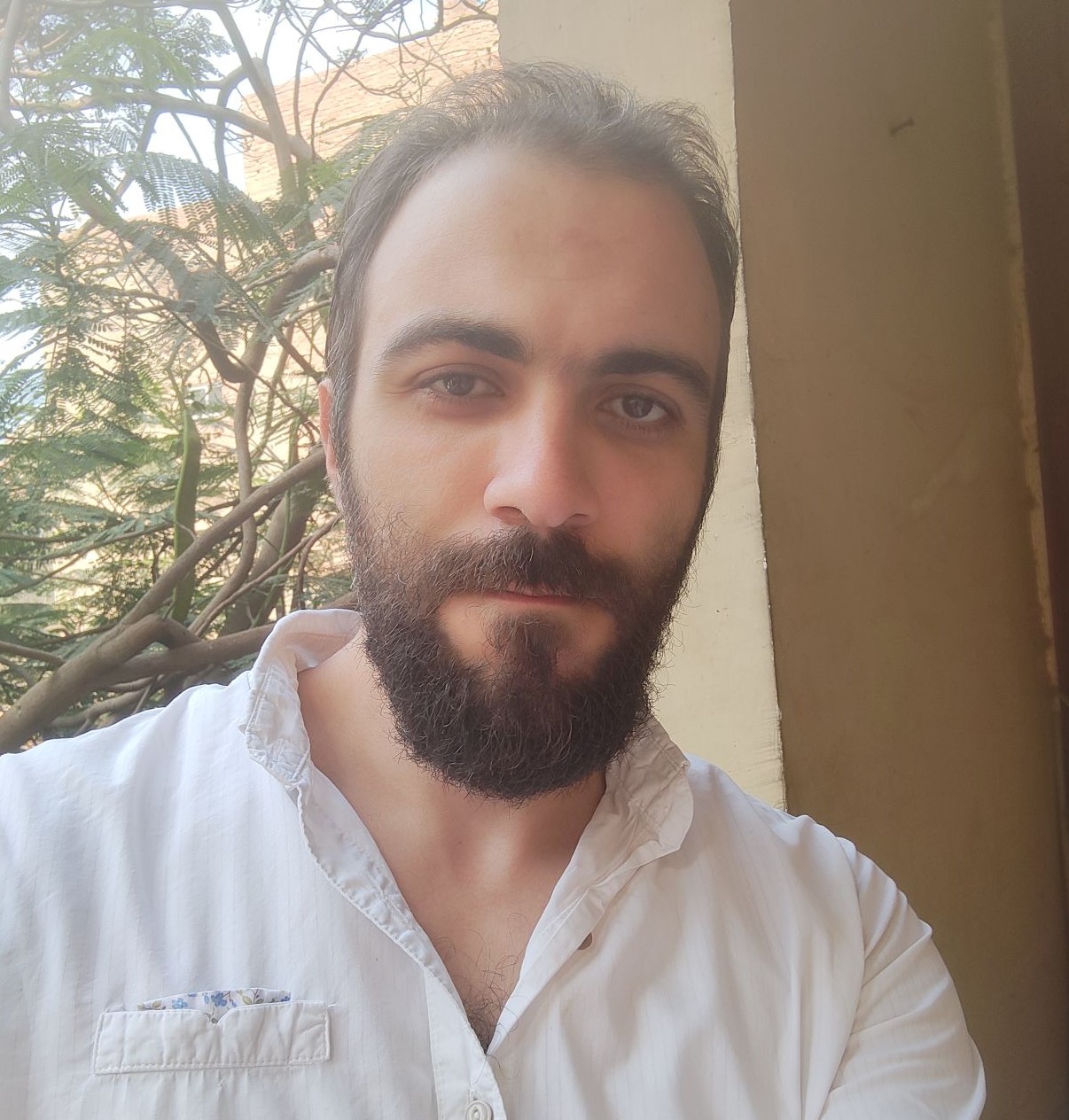 محمد علي6157