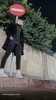 mazein wael