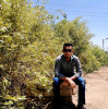 Mahmoud222